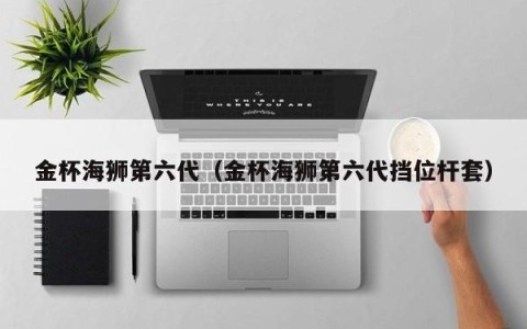 金杯海狮第六代（金杯海狮第六代挡位杆套）